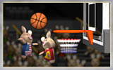 Bunny Basketball